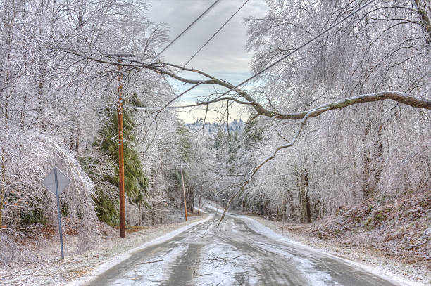 overhead-distribution-winter